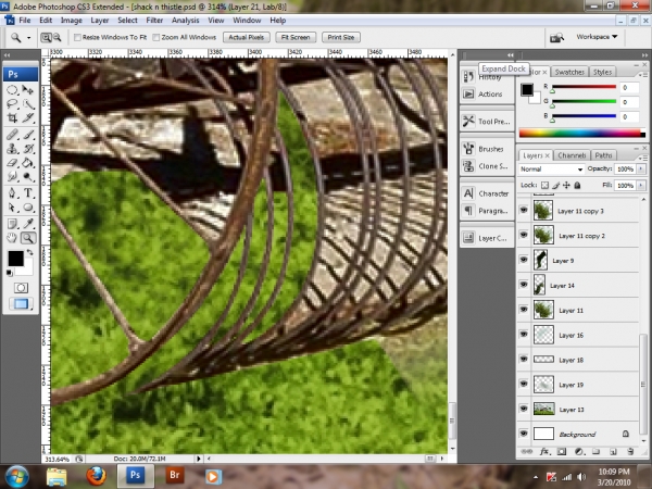Creation of Finches' Corner: Step 6